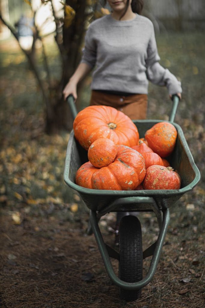 pexels-photo-5634031 A woman pushes a wheelbarrow filled with pumpkins in a fall garden setting.